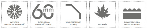 KOSTKA BRUKOWA WENECKA PARAMETRY