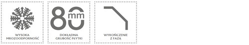 KOSTKA BRUKOWA HOLLAND INTEGRACYJNA PARAMETRY
