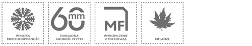 PŁYTA TARASOWA PARAMETRY