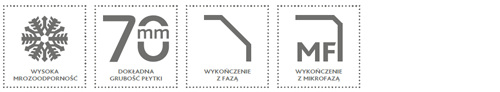 Płyta chodnikowa parametry
